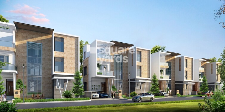 Vessella Woods Cover Image