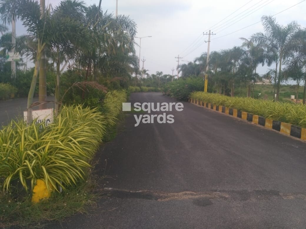 Vikhyath Haritha Vanam