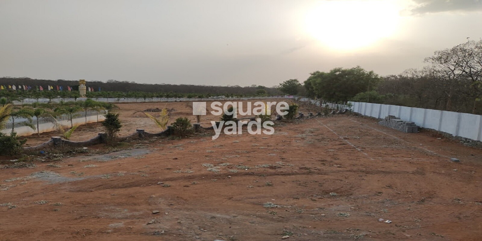 Vikhyath Haritha Vanam, P Anantharam, Hyderabad