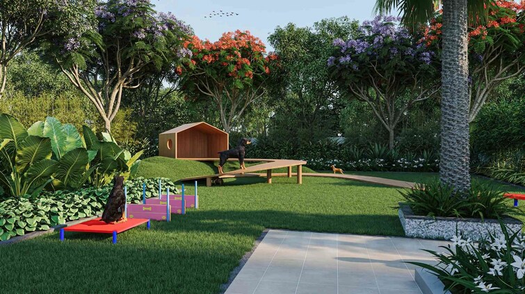 Western Springs Amenities-Features 1