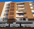 WP Stellar Avenue