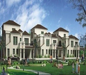 Aditya Royal Palm
