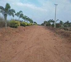 Ajasra Akash Vihar Elite Featured Image