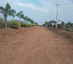 Ajasra Akash Vihar Elite, Mansanpalle, Hyderabad