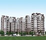 Amsri Central Court Flagship Image
