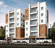 Ananda Vine Wood Video