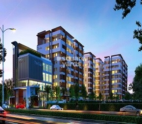 Ankura Urban Trilla