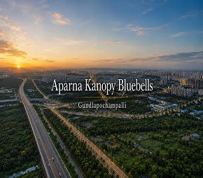 Aparna Kanopy Bluebells
