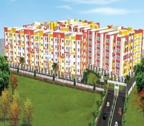 Apex Sai Srinivasam