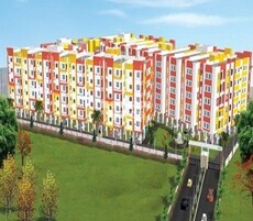 Apex Sai Srinivasam Featured Image