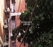 Arien Apartments Cover Image