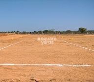 Arising Peacock Valley Video