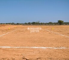 Arising Peacock Valley Featured Image