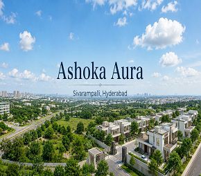 Ashoka Aura