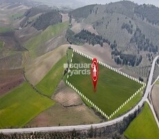 ASR Hans Meadows Featured Image