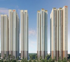 Aurobindo The Regent Featured Image