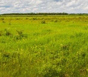 Auroland Plot
