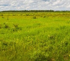 Auroland Plot Featured Image