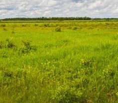 Auroland Plot, Peeranchuruvu, Hyderabad