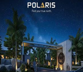 Avani Polaris