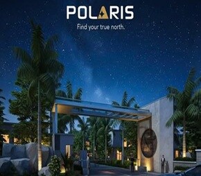 Avani Polaris