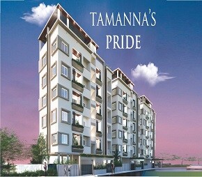 Avisun Tamanna Pride