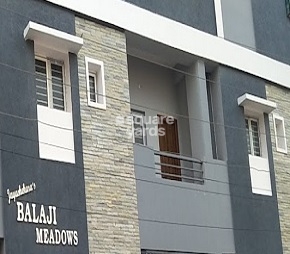 Balaji Meadows Balapur Cover Image