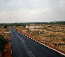 BBG True Greens 1 Featured Image