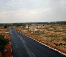 BBG True Greens 1 Featured Image