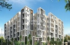 Begonia Homes Featured Image