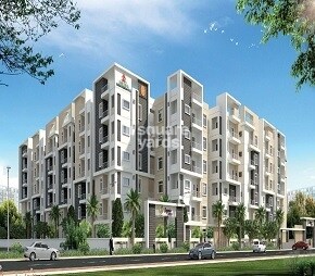 Begonia Homes