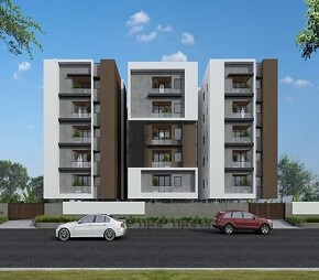 BGR Shweta Pearl