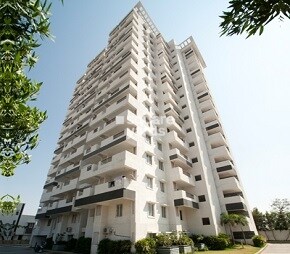 Bloomfield Elation Towers