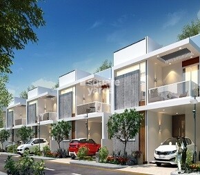 Blue Lotus Villas