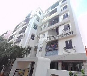 Chandras Ace Pristine Elegance