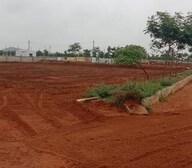 CSR Shiva Nandi Video