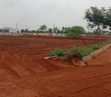 CSR Shiva Nandi Featured Image