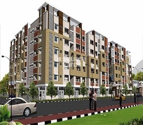 Dhaanis 9 Square