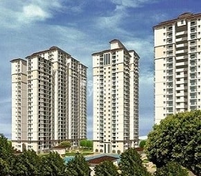Elite Blossom Heights
