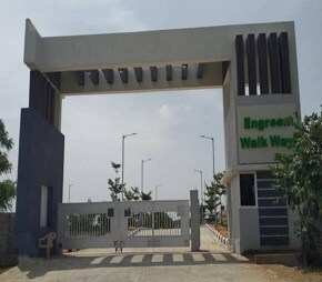 Engreen Walkways