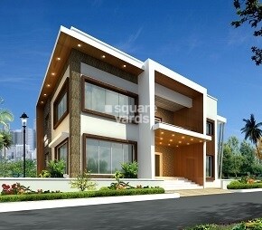 Fortune Binjrajka Nest