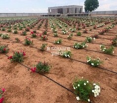 Fortune Farm Valley, Maheshwaram, Hyderabad