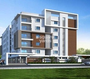 Fortune Green Golden Oriole