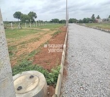 Fortune Pharma County Featured Image