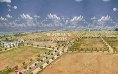 Fortune Sunshine Valley Featured Image