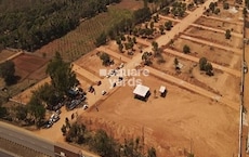Fortune The Highway Orchards Featured Image