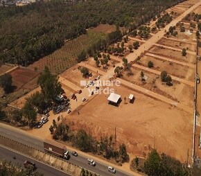 Fortune The Highway Orchards