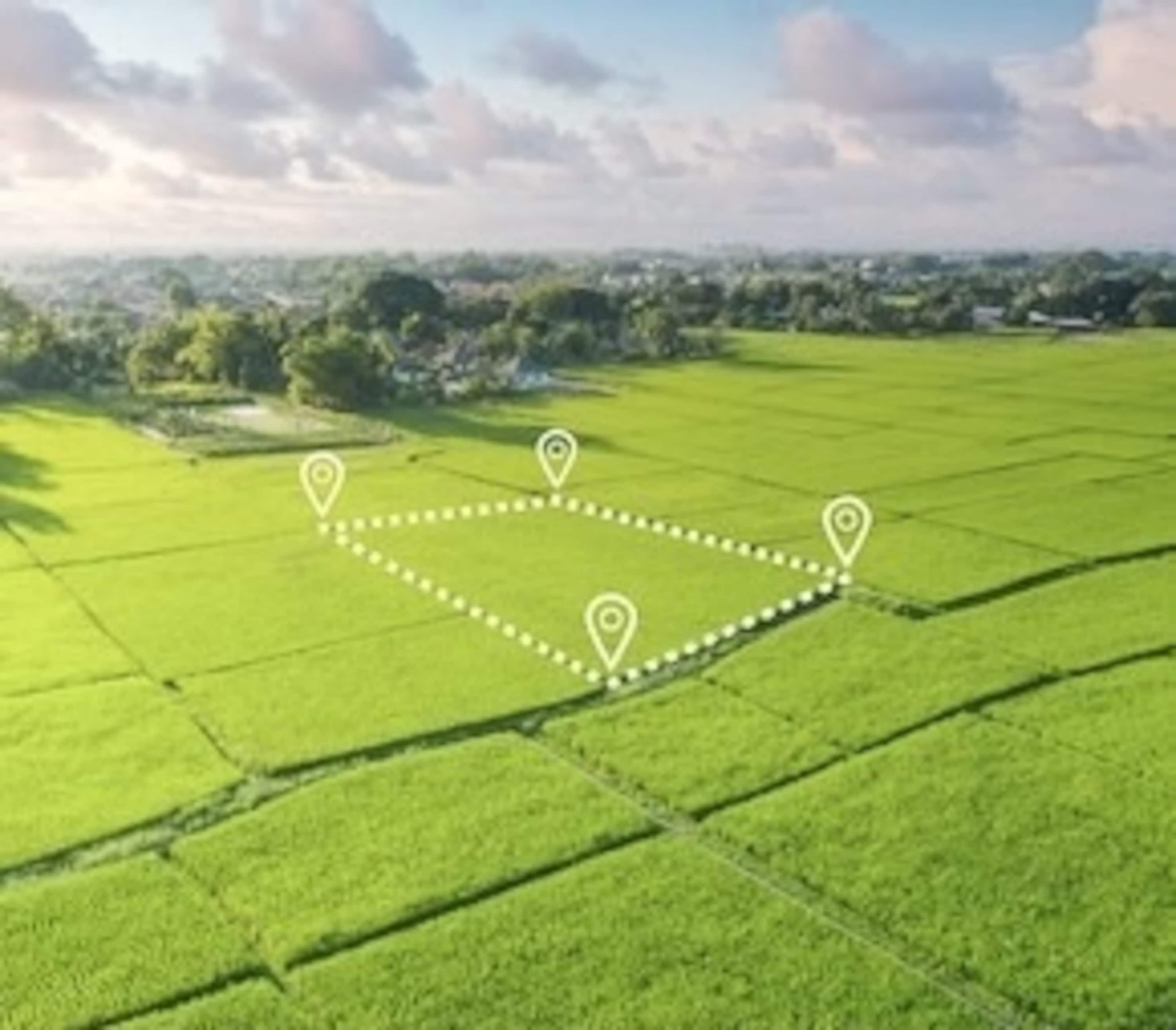 Foxconn City Cover Image