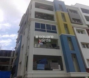 G K s Royal Orchid Featured Image