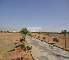 Garden Of Eden V Featured Image